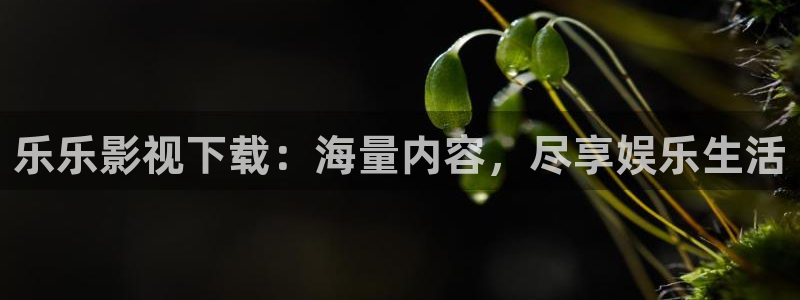 看看屋电影午夜